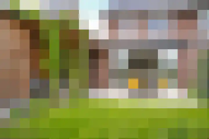 Kievit 74 Maurik thumbnail 39