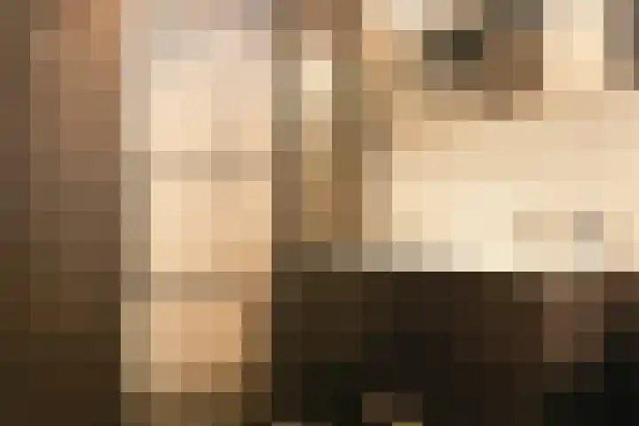 Kievit 74 Maurik thumbnail 4