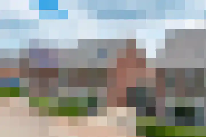 Kievit 74 Maurik thumbnail 42
