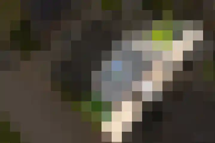 Kievit 74 Maurik thumbnail 43