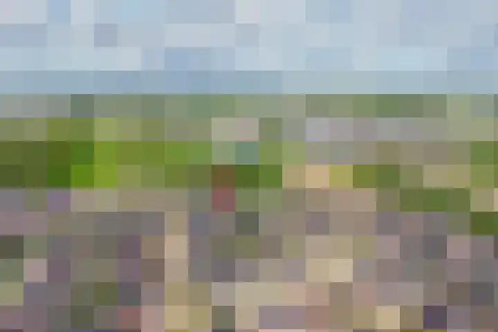 Kievit 74 Maurik thumbnail 44