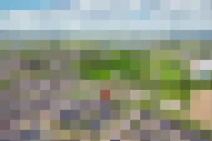 Kievit 74 Maurik thumbnail 46