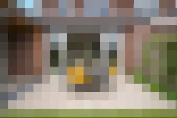 Kievit 74 Maurik thumbnail 5