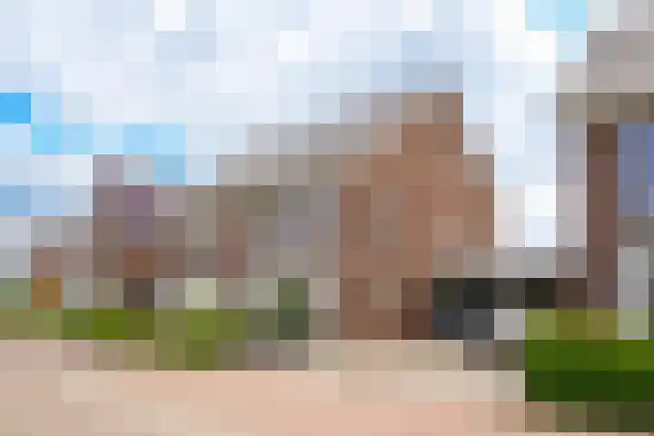Kievit 74 Maurik thumbnail 6