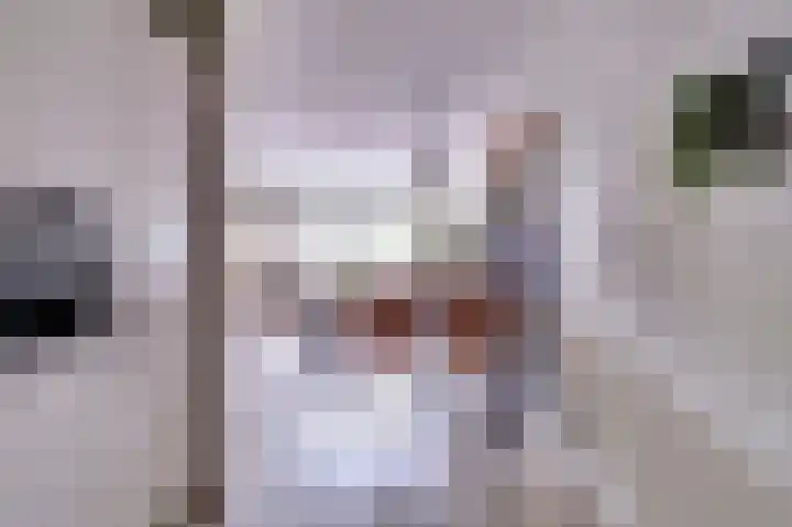 Kievit 8 De Lier thumbnail 14
