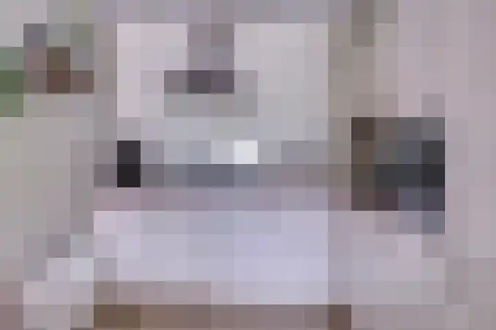 Kievit 8 De Lier thumbnail 15