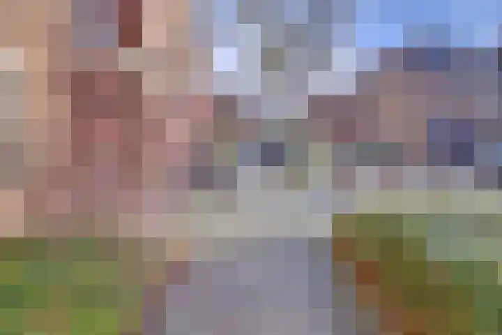 Kievit 8 De Lier thumbnail 25
