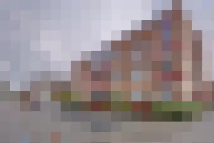 Kievit 8 De Lier thumbnail 28