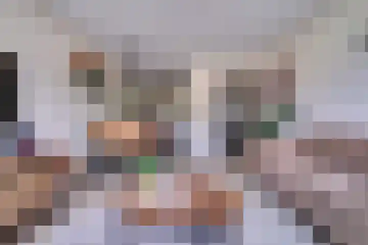 Kievit 8 De Lier thumbnail 7