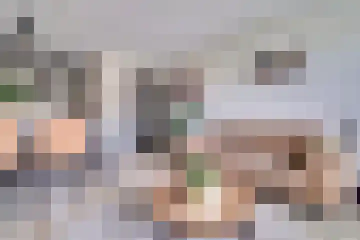 Kievit 8 De Lier thumbnail 9