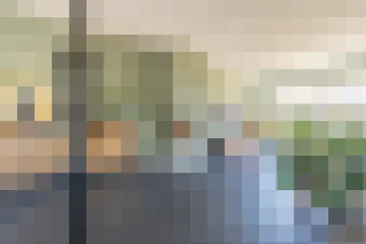 Kievit 8 Maurik thumbnail 11