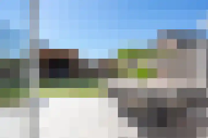 Kievit 8 Maurik thumbnail 28