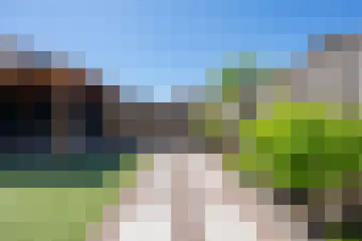 Kievit 8 Maurik thumbnail 31