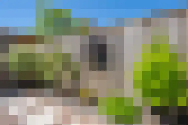 Kievit 8 Maurik thumbnail 32