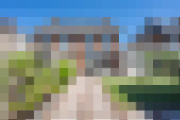 Kievit 8 Maurik thumbnail 33