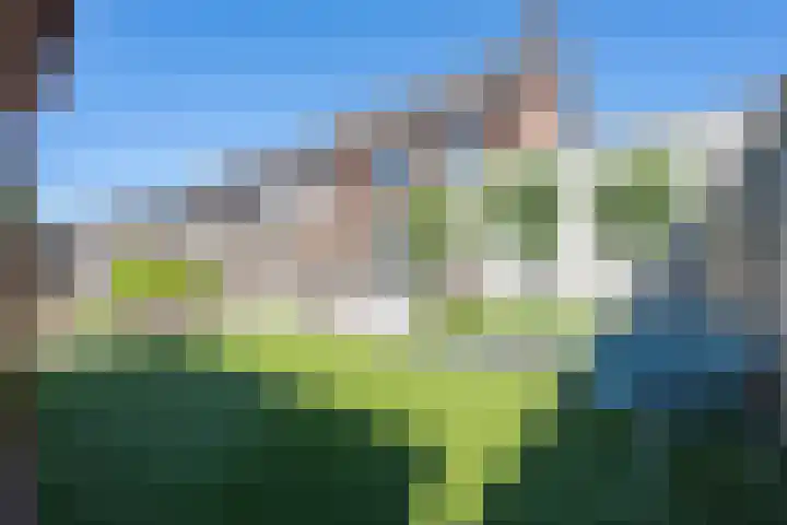 Kievit 8 Maurik thumbnail 37
