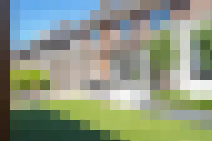 Kievit 8 Maurik thumbnail 38