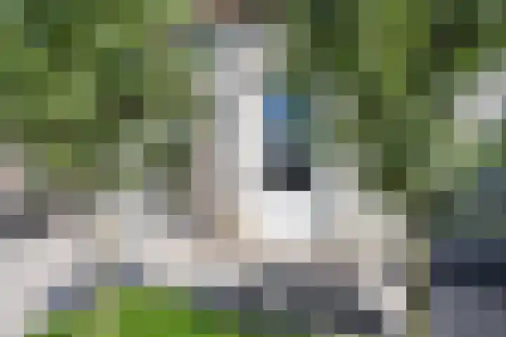 Kievit 8 Maurik thumbnail 39