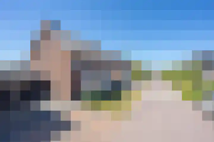 Kievit 8 Maurik thumbnail 5