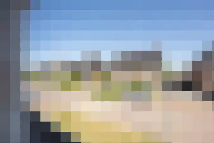 Kievit 8 Maurik thumbnail 54