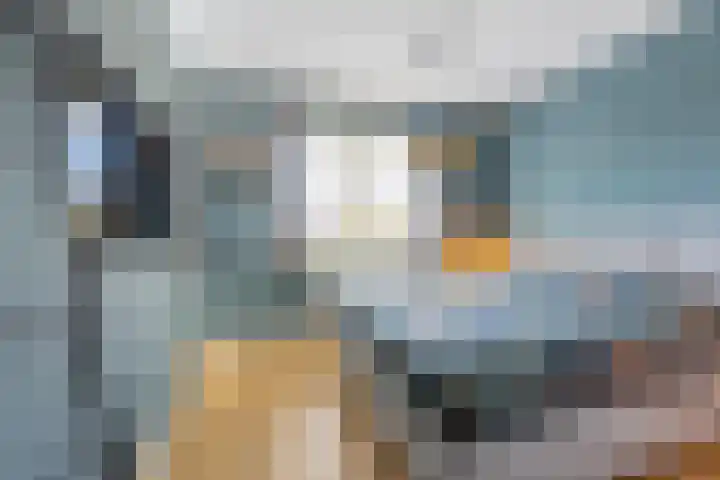 Kievit 8 Maurik thumbnail 57