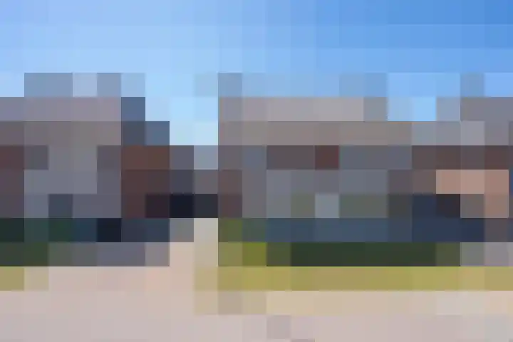 Kievit 8 Maurik thumbnail 6