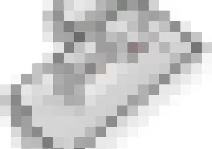 Kievit 8 Maurik thumbnail 66