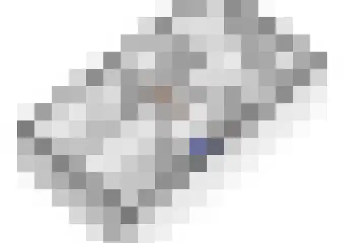 Kievit 8 Maurik thumbnail 68