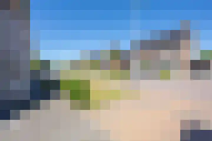 Kievit 8 Maurik thumbnail 7