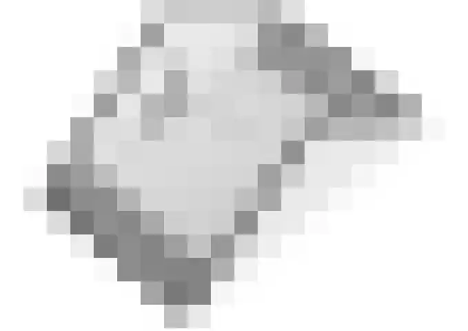 Kievit 8 Maurik thumbnail 70