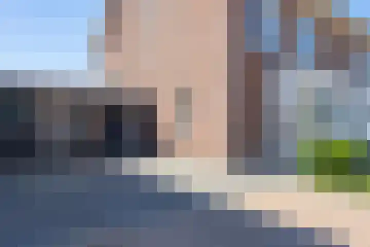 Kievit 8 Maurik thumbnail 8