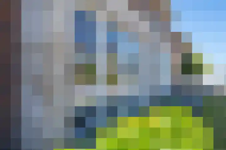 Kievit 8 Maurik thumbnail 9