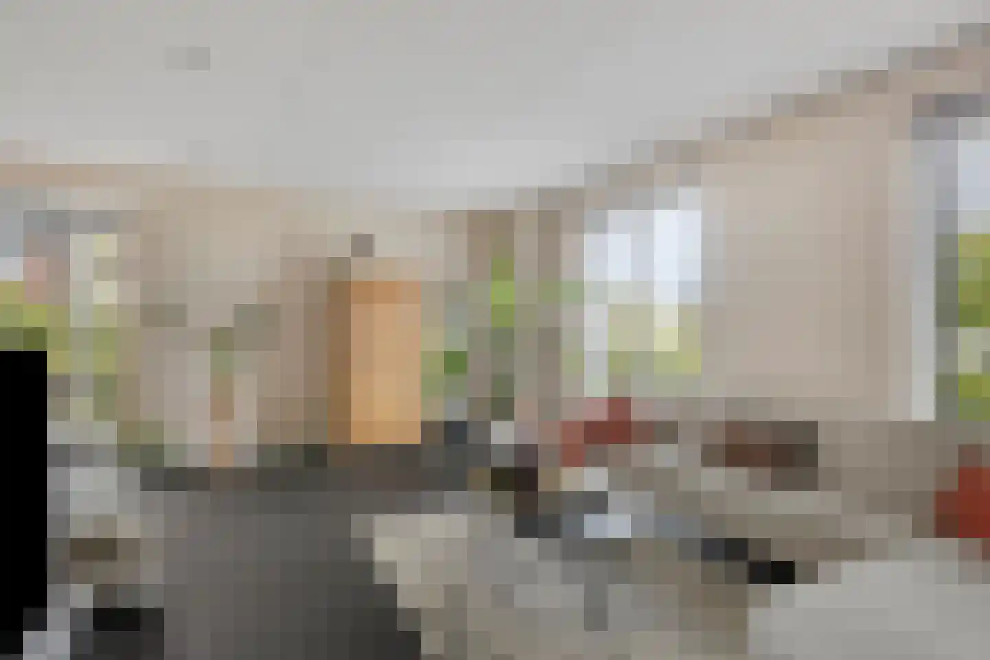 Kievit 80 Maurik thumbnail 11