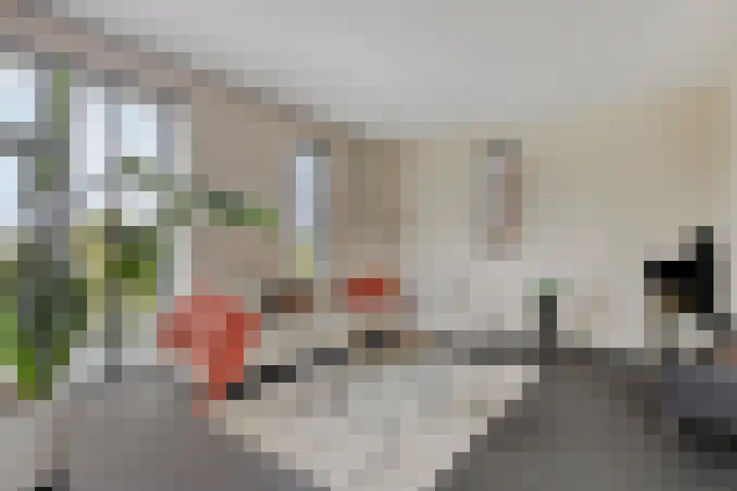 Kievit 80 Maurik thumbnail 12