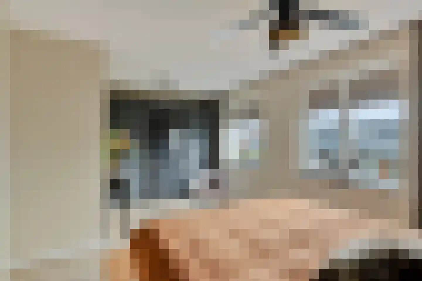 Kievit 80 Maurik thumbnail 16