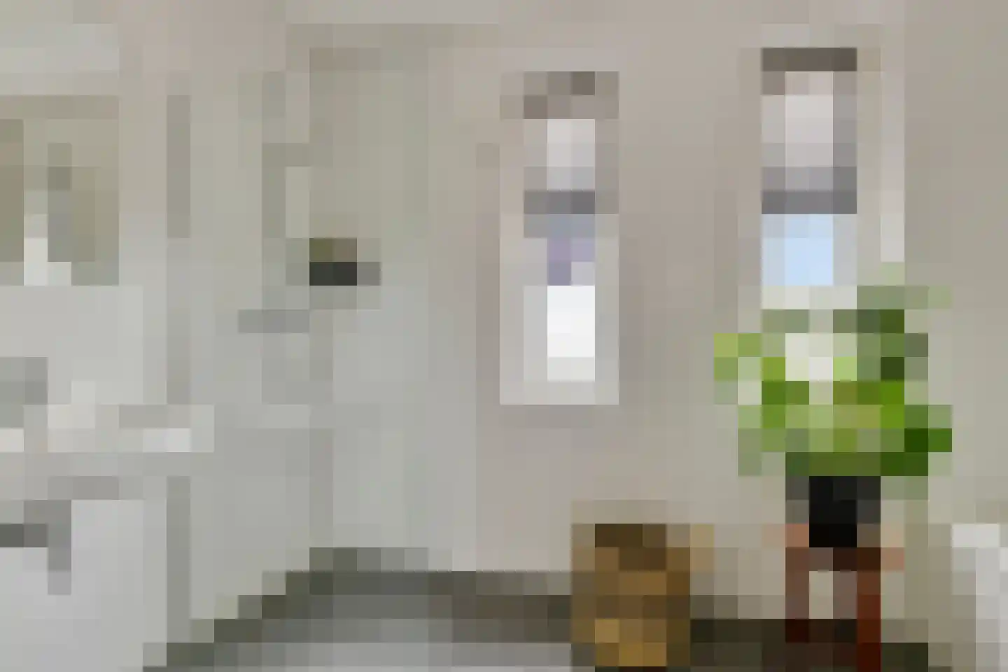 Kievit 80 Maurik thumbnail 20