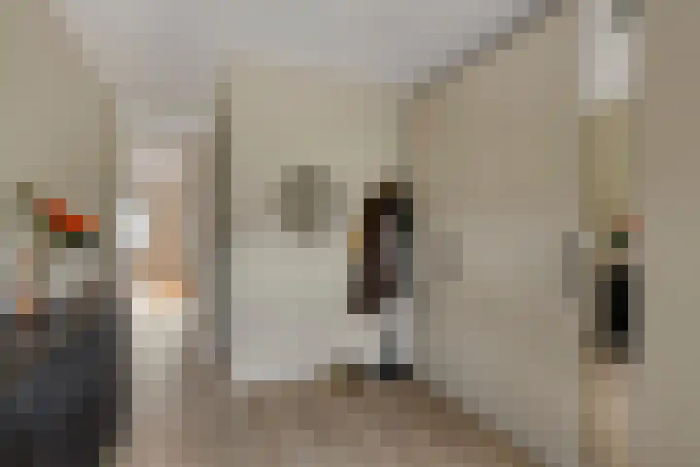 Kievit 80 Maurik thumbnail 22