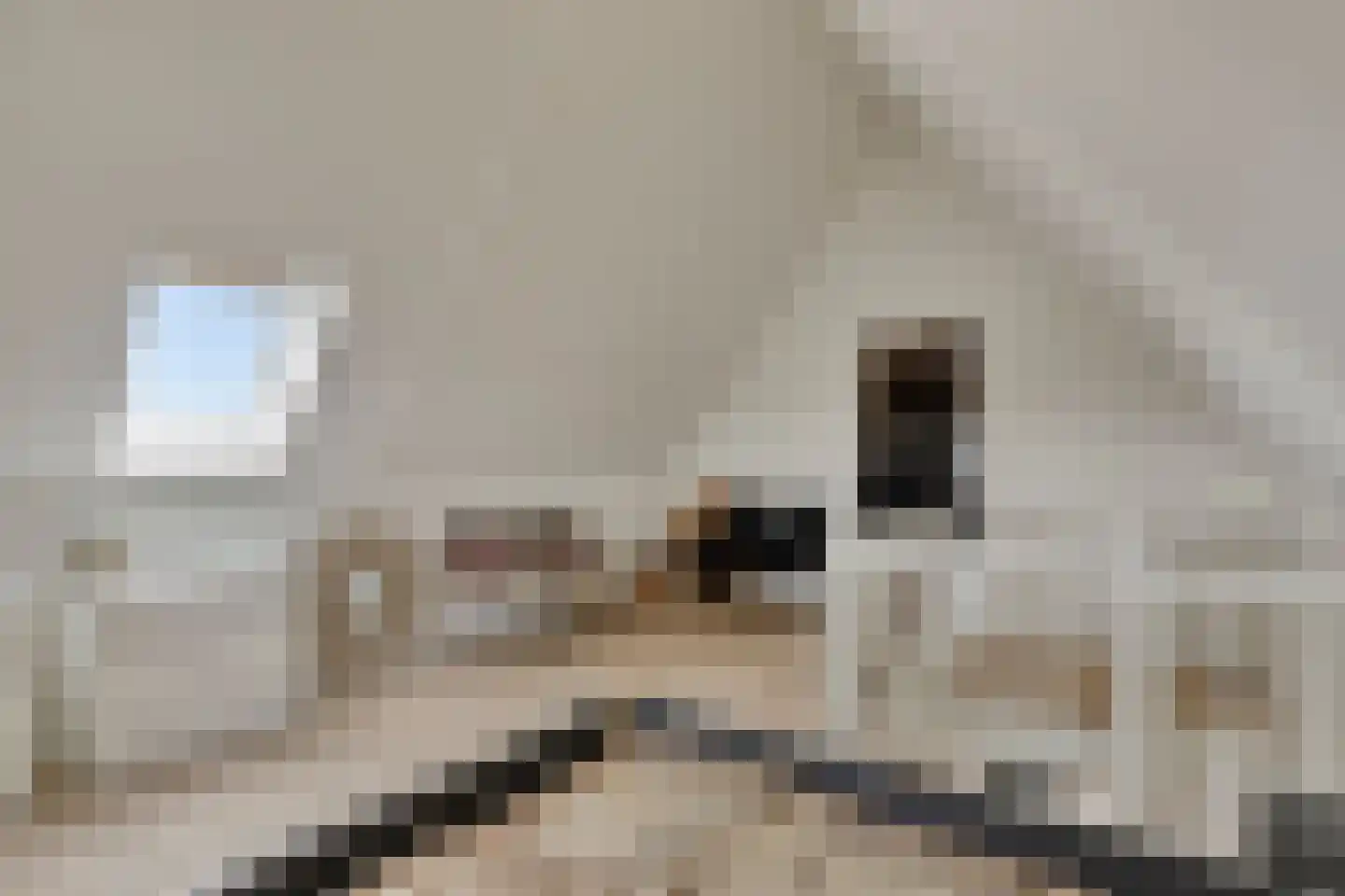 Kievit 80 Maurik thumbnail 27