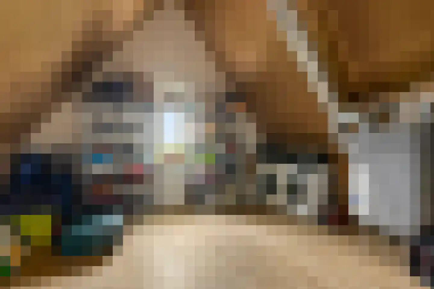 Kievit 80 Maurik thumbnail 28