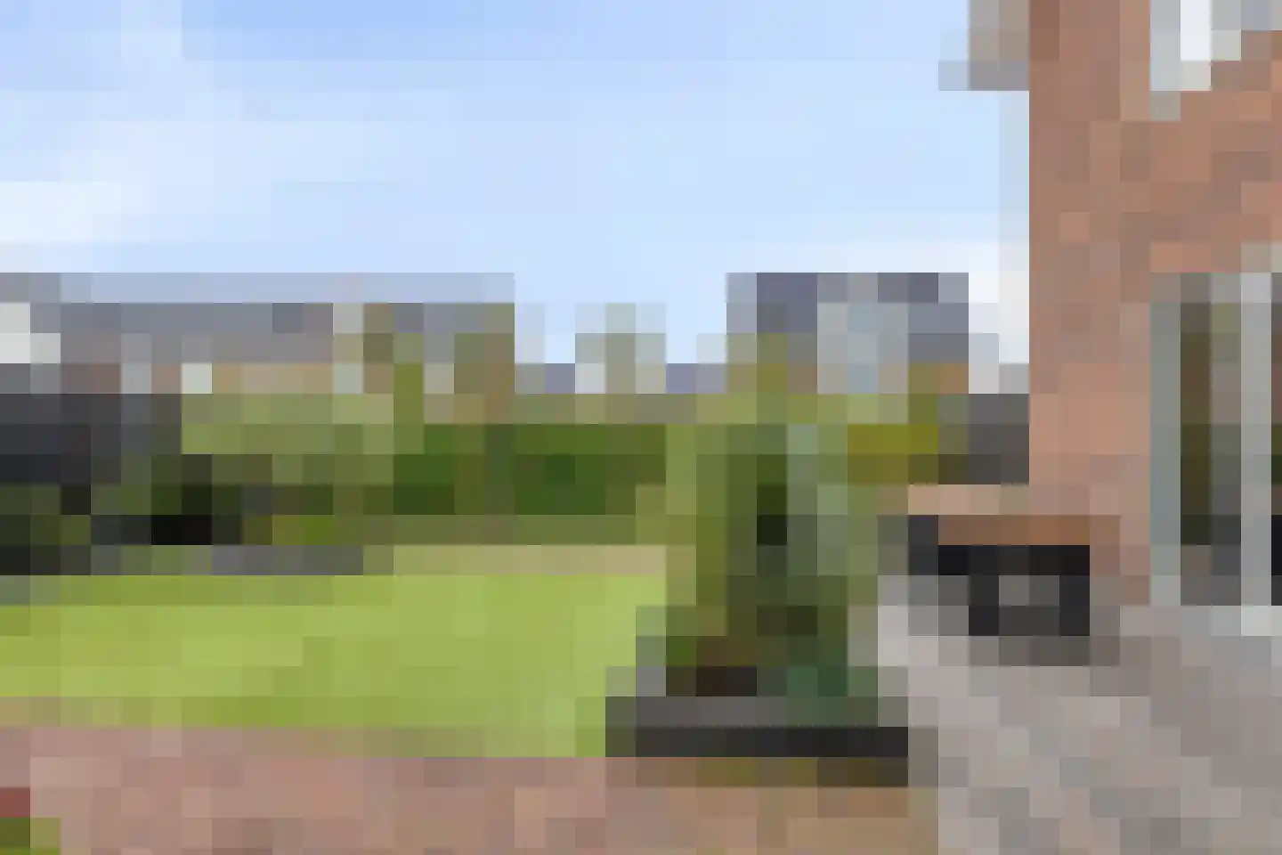 Kievit 80 Maurik thumbnail 31