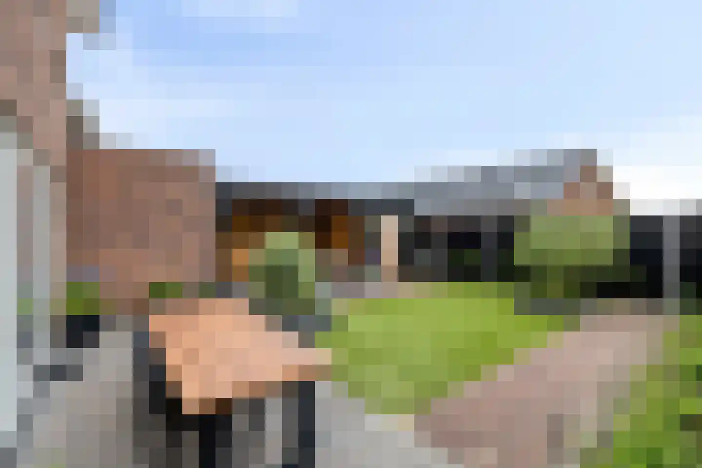 Kievit 80 Maurik thumbnail 32