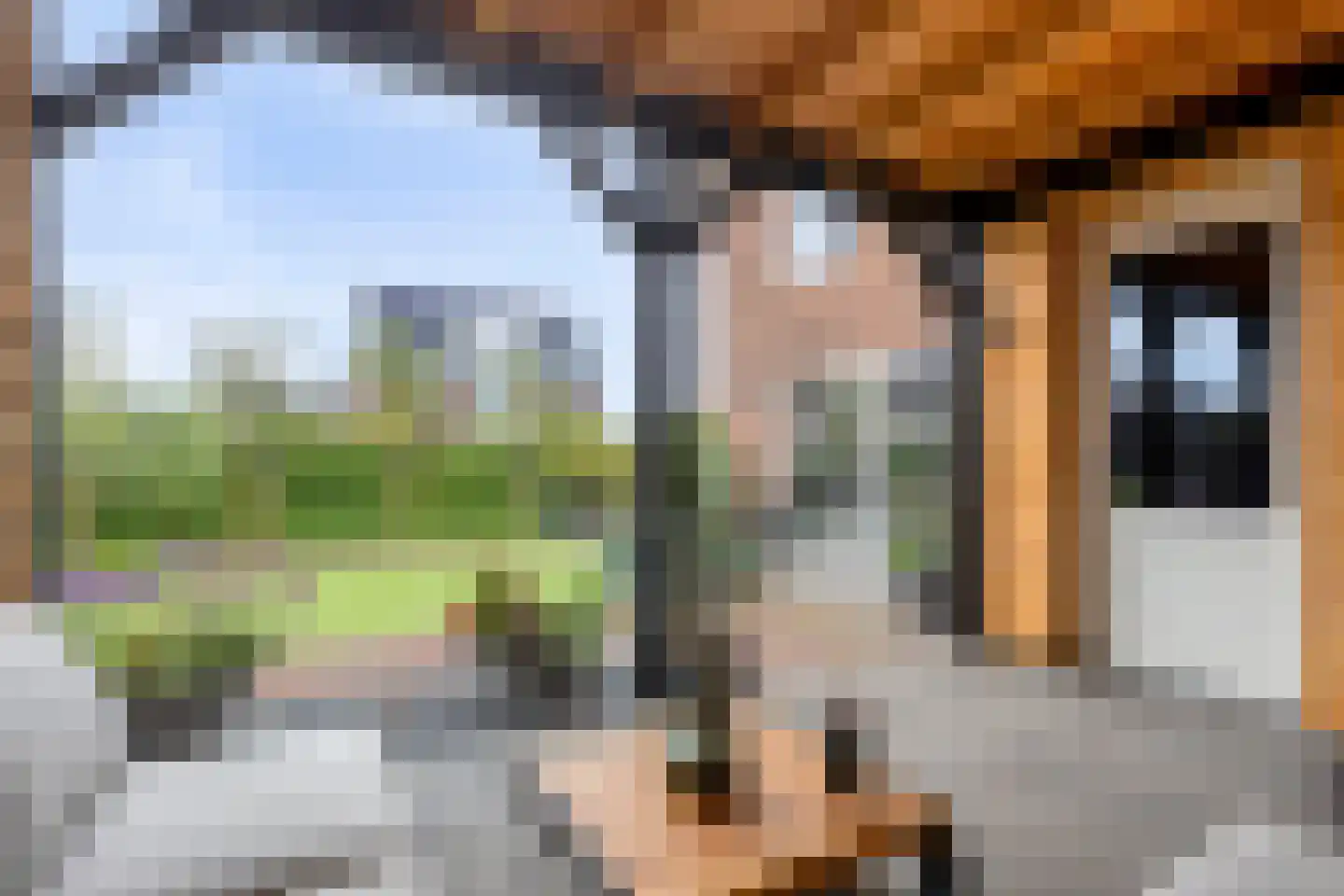 Kievit 80 Maurik thumbnail 34