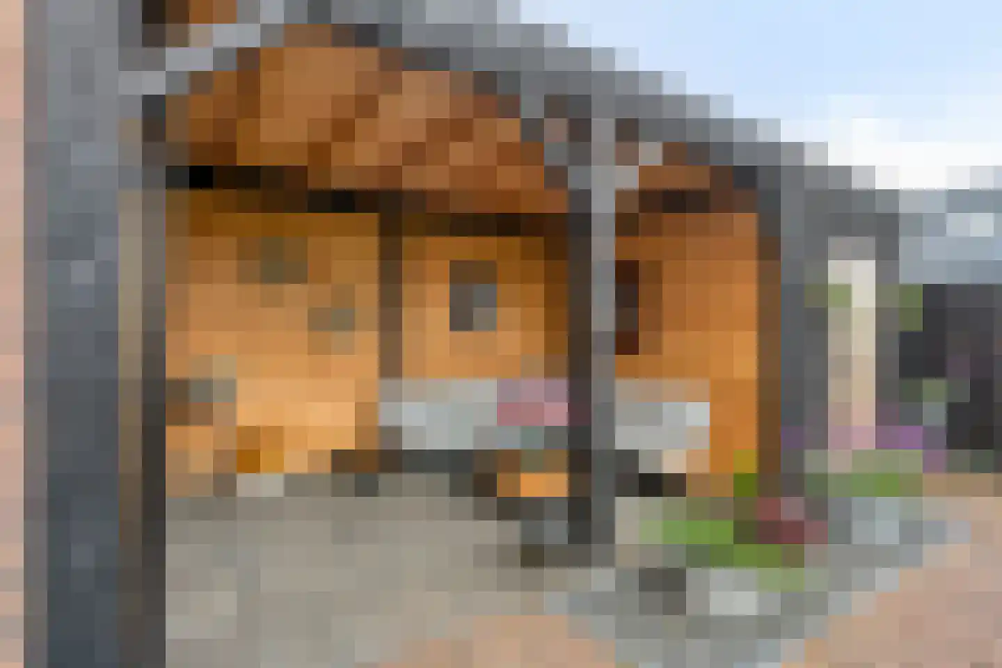 Kievit 80 Maurik thumbnail 35