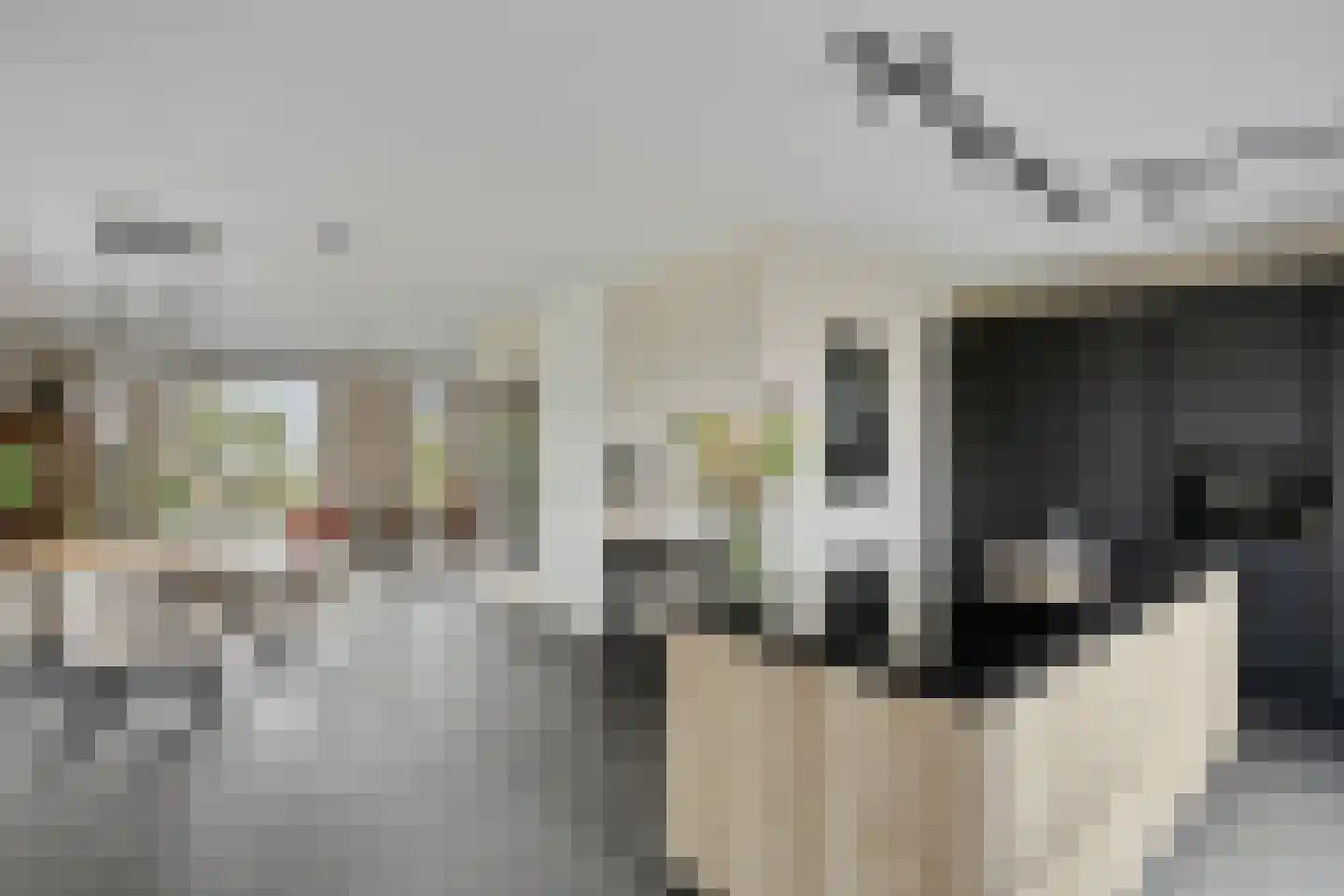 Kievit 80 Maurik thumbnail 4
