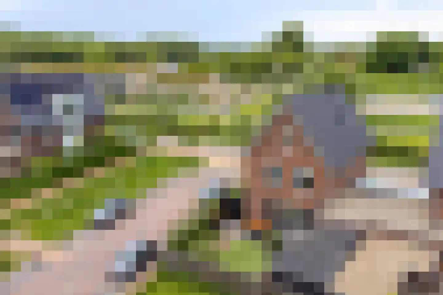Kievit 80 Maurik thumbnail 43