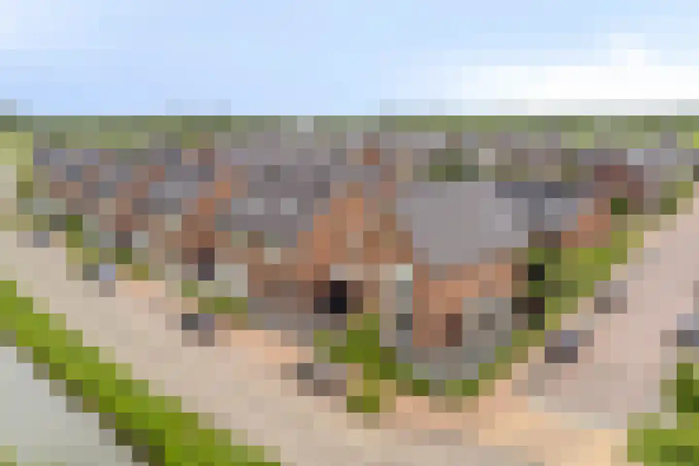 Kievit 80 Maurik thumbnail 45