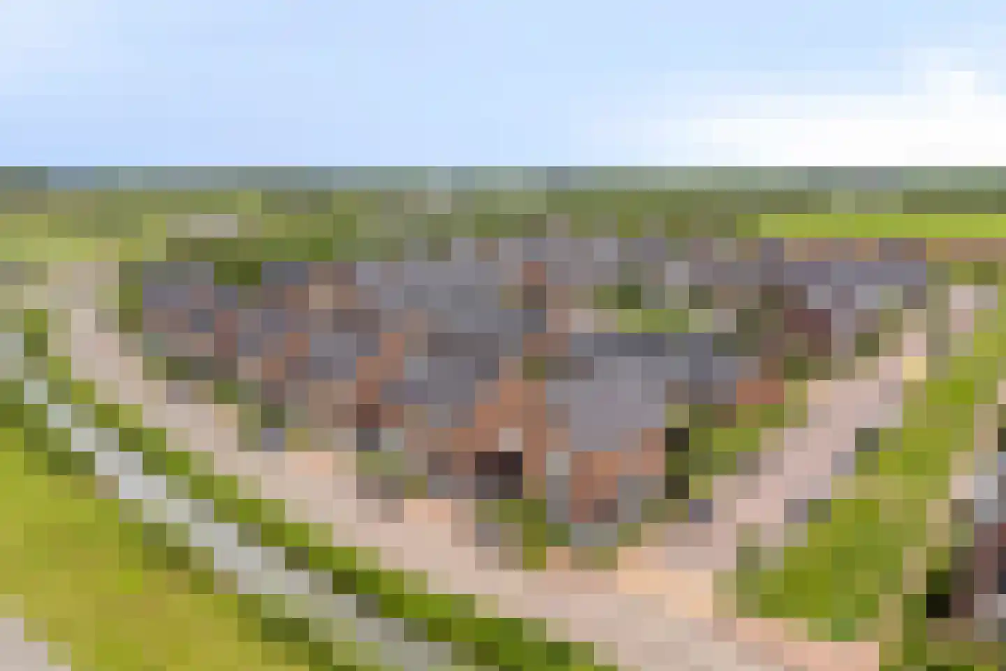 Kievit 80 Maurik thumbnail 47