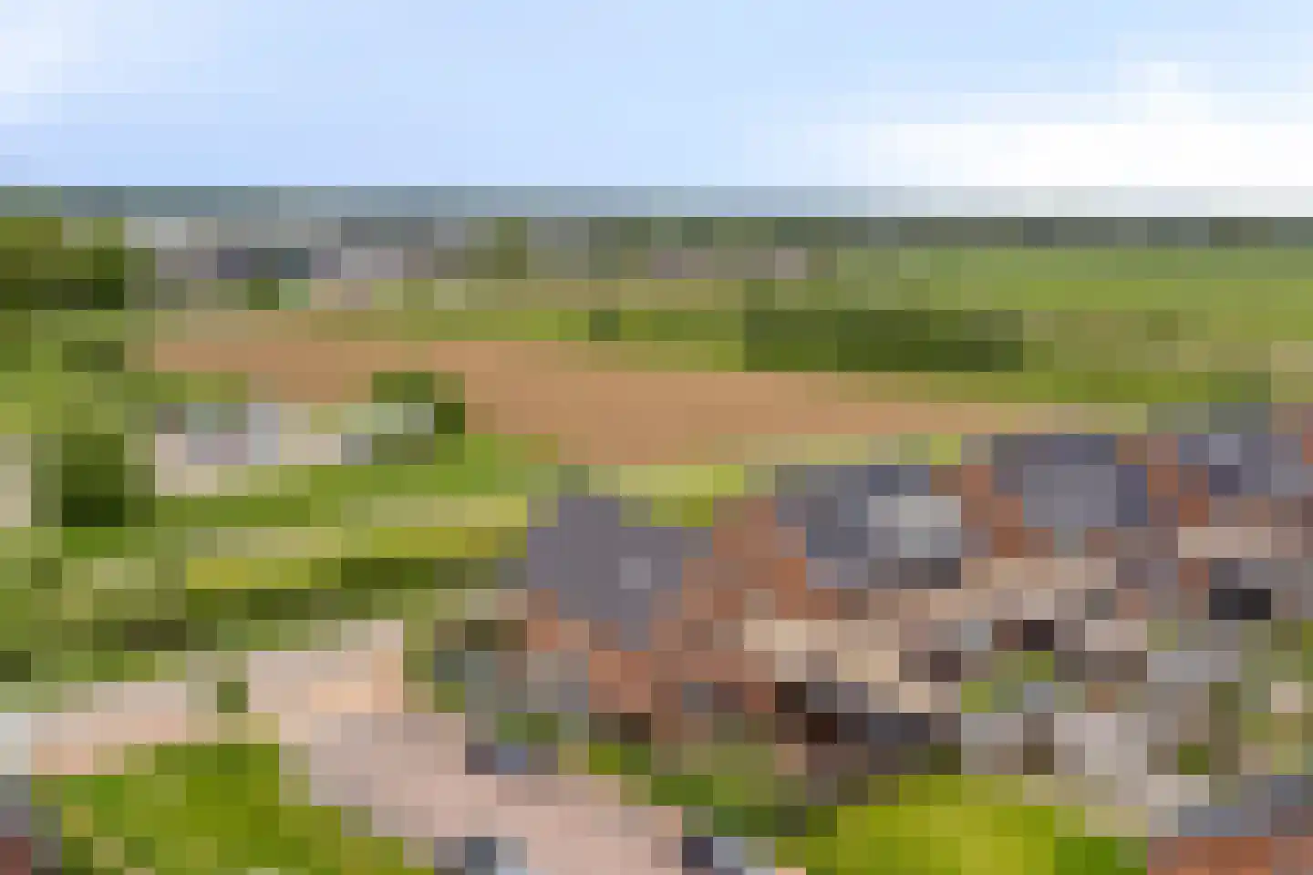 Kievit 80 Maurik thumbnail 48