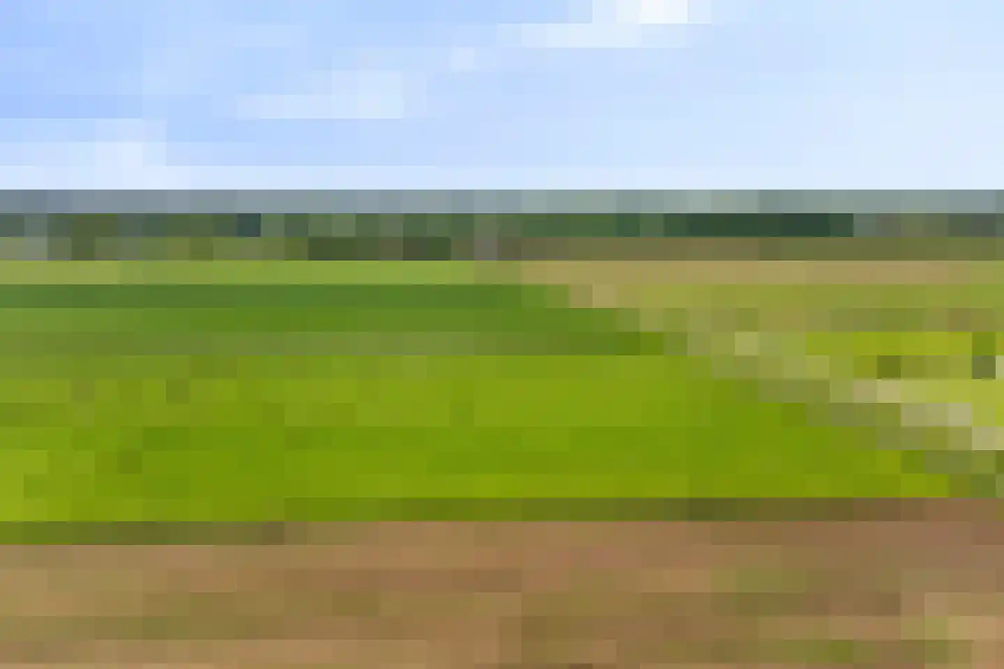 Kievit 80 Maurik thumbnail 49