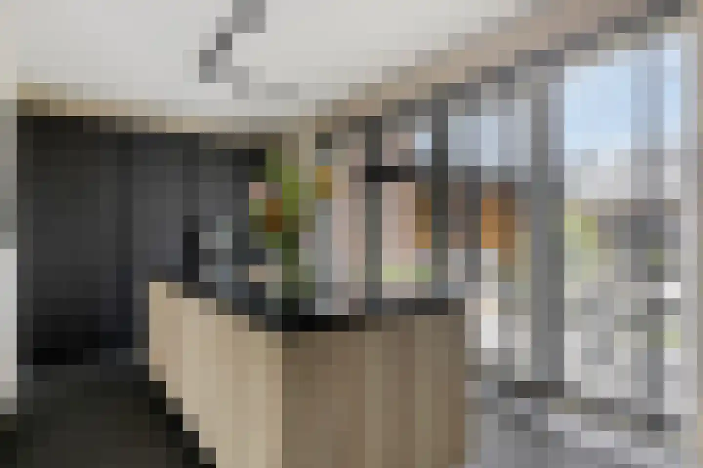 Kievit 80 Maurik thumbnail 5